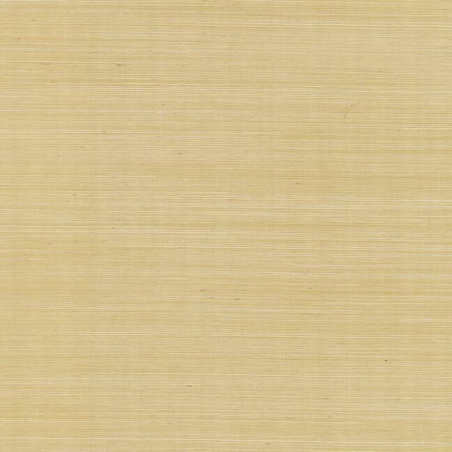 media image for Palette Wallpaper in Gold from the Rifle Paper Co. Collection by York Wallcoverings 280