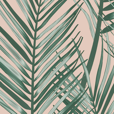 product image for Palm Peel and Stick Wallpaper in Pink and Green from the Transform Collection by Graham & Brown 77