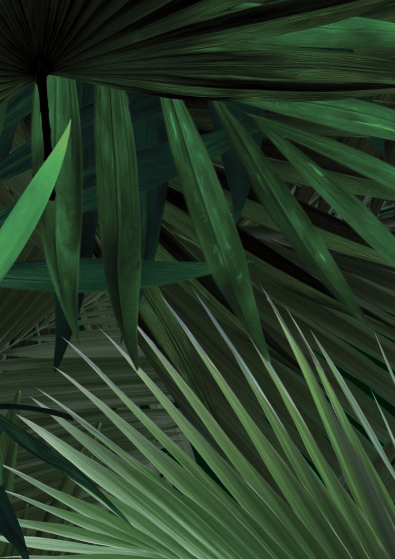 media image for Palm Botanical Wallpaper by KEK Amsterdam 241