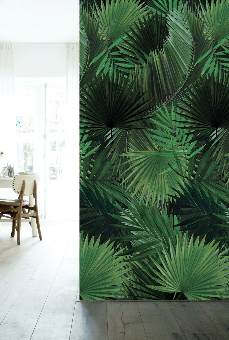 media image for Palm Botanical Wallpaper by KEK Amsterdam 297