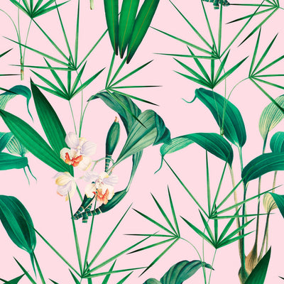 product image for Palm Springs Wallpaper in Green and Pink from the Palm Springs Collection by Mind the Gap 39