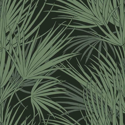 product image for Palmetto Wallpaper in Black and Green from the Silhouettes Collection by York Wallcoverings 91