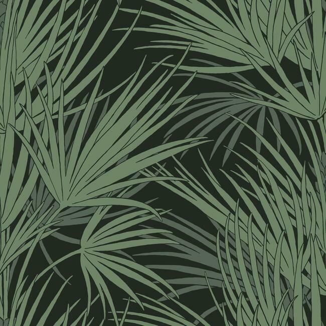 media image for Palmetto Wallpaper in Black and Green from the Silhouettes Collection by York Wallcoverings 287