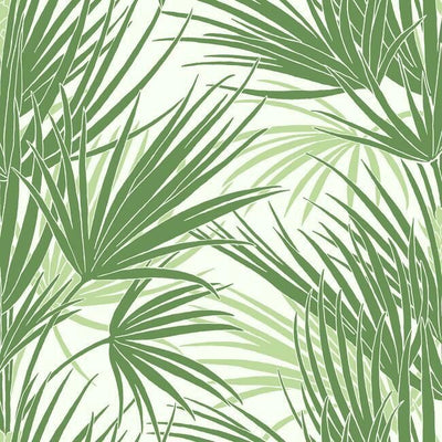 product image of Palmetto Wallpaper in Green from the Silhouettes Collection by York Wallcoverings 578