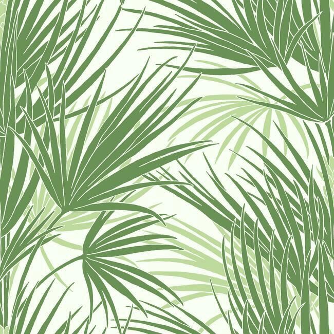 media image for Palmetto Wallpaper in Green from the Silhouettes Collection by York Wallcoverings 213