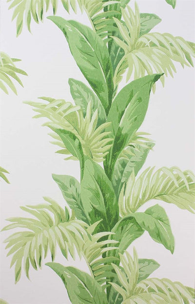 product image of Palmetto Wallpaper in Green and Ivory by Nina Campbell for Osborne & Little 517