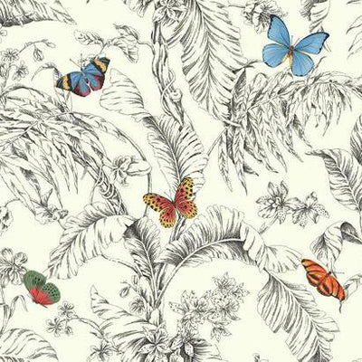 product image of sample papillon wallpaper in black and white by ashford house for york wallcoverings 1 539