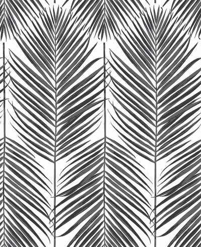 product image for Paradise Palm Peel-and-Stick Wallpaper in Ebony by NextWall 36