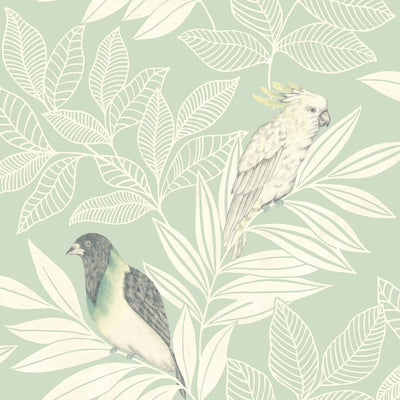 product image of Paradise Island Birds Wallpaper in Mint and Ivory from the Boho Rhapsody Collection by Seabrook Wallcoverings 559