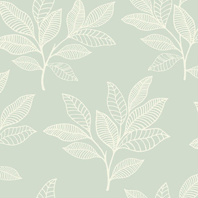 product image of Paradise Leaves Wallpaper in Mint from the Boho Rhapsody Collection by Seabrook Wallcoverings 580