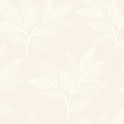 product image for Paradise Leaves Wallpaper in Sand Dune from the Boho Rhapsody Collection by Seabrook Wallcoverings 1