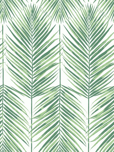 product image of sample paradise wallpaper in tropic greenery from the beach house collection by seabrook wallcoverings 1 539
