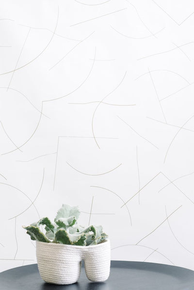product image for Pavlova Wallpaper in Gold on Cream design by Thatcher Studio 4