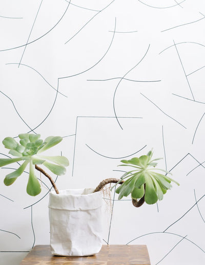 product image for Pavlova Wallpaper in Gunmetal on Cream design by Thatcher Studio 99