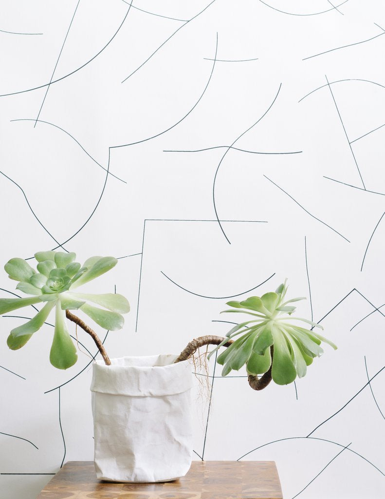media image for Pavlova Wallpaper in Gunmetal on Cream design by Thatcher Studio 24