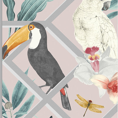 product image of Perch Wallpaper in Blush from the Exclusives Collection by Graham & Brown 523