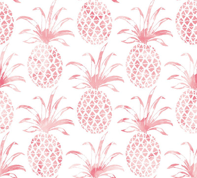 product image for Pina Pintada Wallpaper in Flamingo design by Aimee Wilder 43