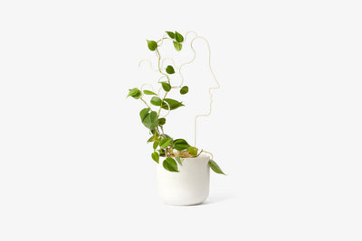 product image for plant trellis 8 44
