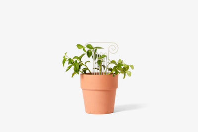 product image for plant trellis 12 30