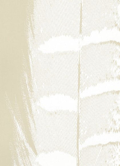 product image of Plume Wallpaper in Fossil design by Cavern Home 576