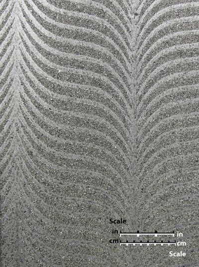 product image of Plummage I906 Wallpaper from the Indulgence Collection by Burke Decor 598