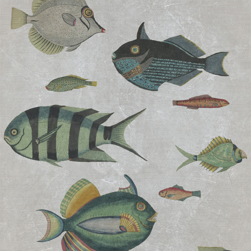 media image for Poissons Grey Wallpaper from Collection II by Mind the Gap 274
