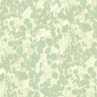 product image of sample pressed leaves wallpaper in green from the botanical dreams collection by candice olson for york wallcoverings 1 574
