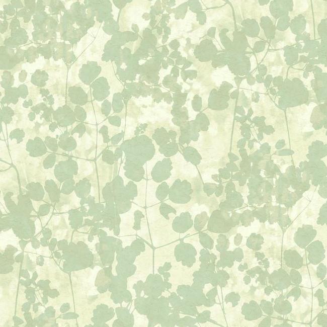 media image for sample pressed leaves wallpaper in green from the botanical dreams collection by candice olson for york wallcoverings 1 292