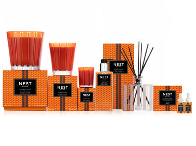 product image for pumpkin chai reed diffuser by nest fragrences 2 82