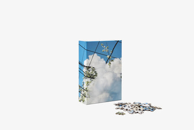 product image for Puzzle in Puzzle 17