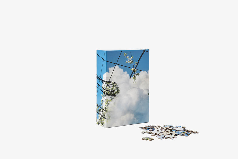media image for Puzzle in Puzzle 271