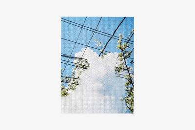 product image for Puzzle in Puzzle 54
