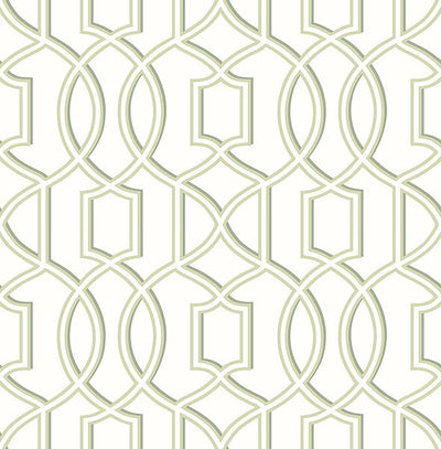 product image of sample quantum green trellis wallpaper from the symetrie collection by brewster home fashions 1 550