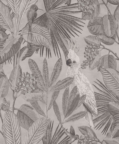 product image of Tropical Paradise Grey Wallpaper by Walls Republic 587