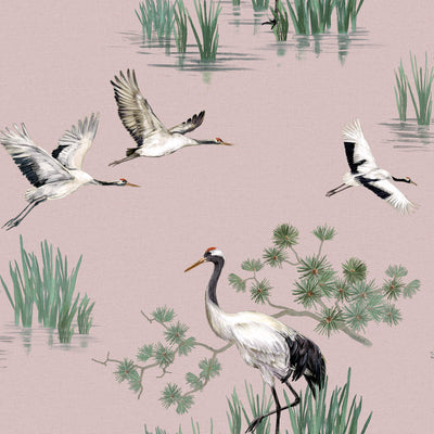 product image of Cranes in Water Pink Wallpaper by Walls Republic 563
