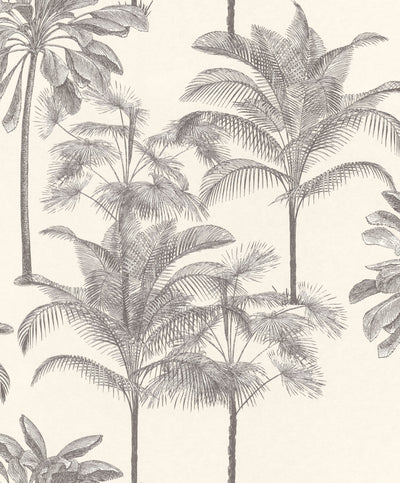 product image of Tropical Decoration Off-White Wallpaper by Walls Republic 561