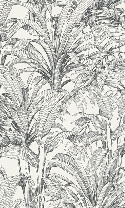 product image of Asperia Jungle Leaves Tropical Wallpaper in Black/White 565