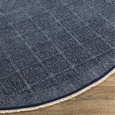 product image for Rajasthan RAJ-2300 Hand Knotted Rug in Navy & White by Surya 66