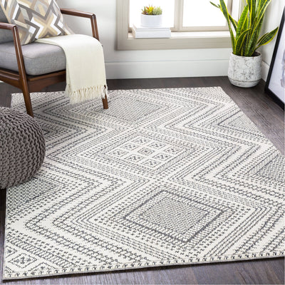 product image for Ariana RIA-2302 Rug in Charcoal & White by Surya 77