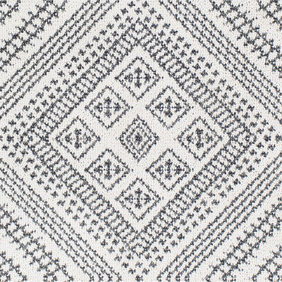product image for Ariana RIA-2302 Rug in Charcoal & White by Surya 11