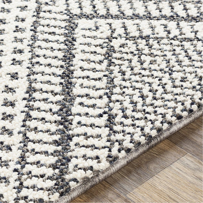 product image for Ariana RIA-2302 Rug in Charcoal & White by Surya 31