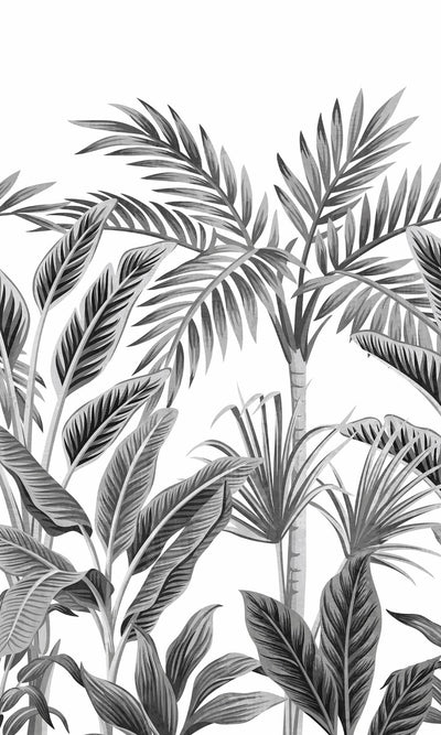 product image for Tropical Forest Jungle Wall Mural in Black & White 58