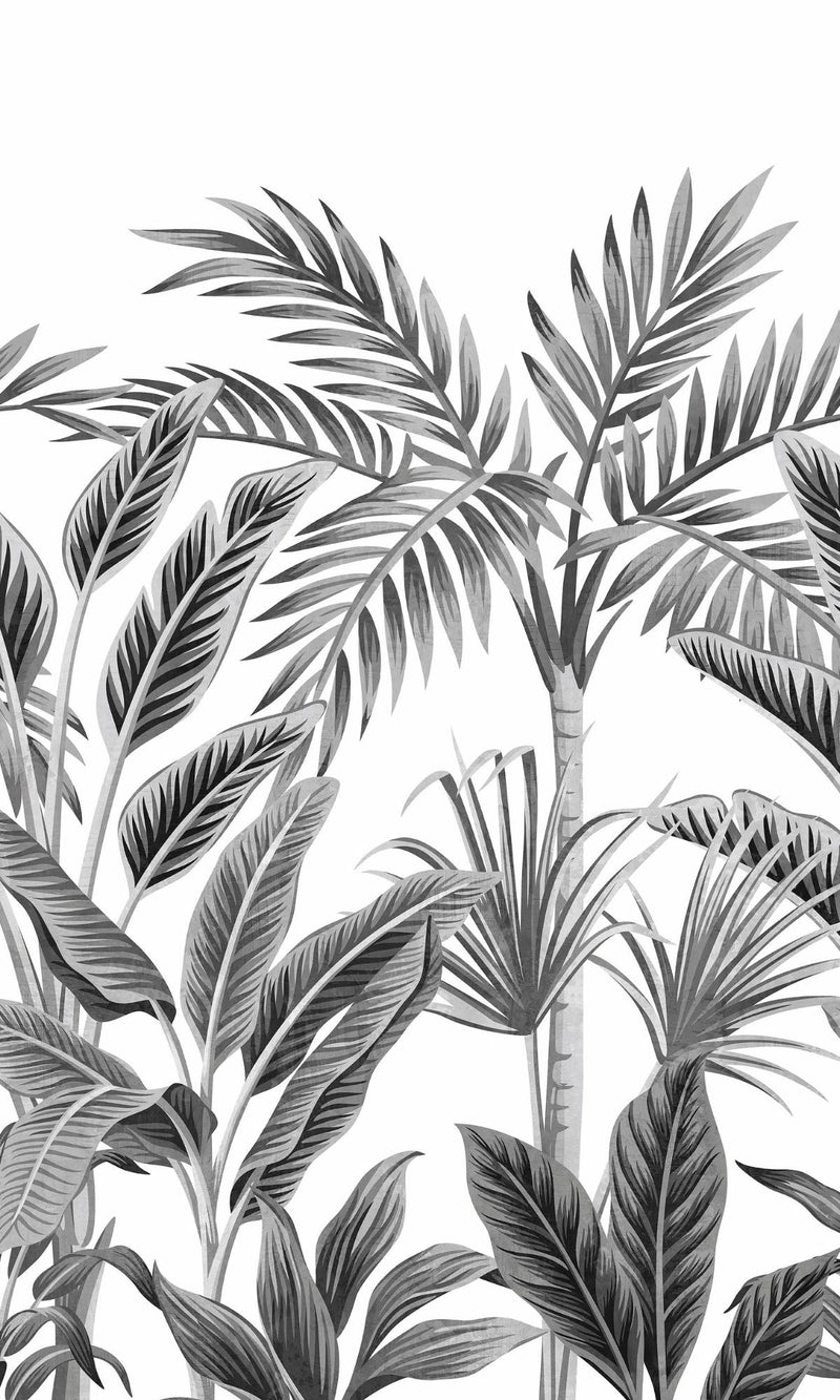 media image for Tropical Forest Jungle Wall Mural in Black & White 219