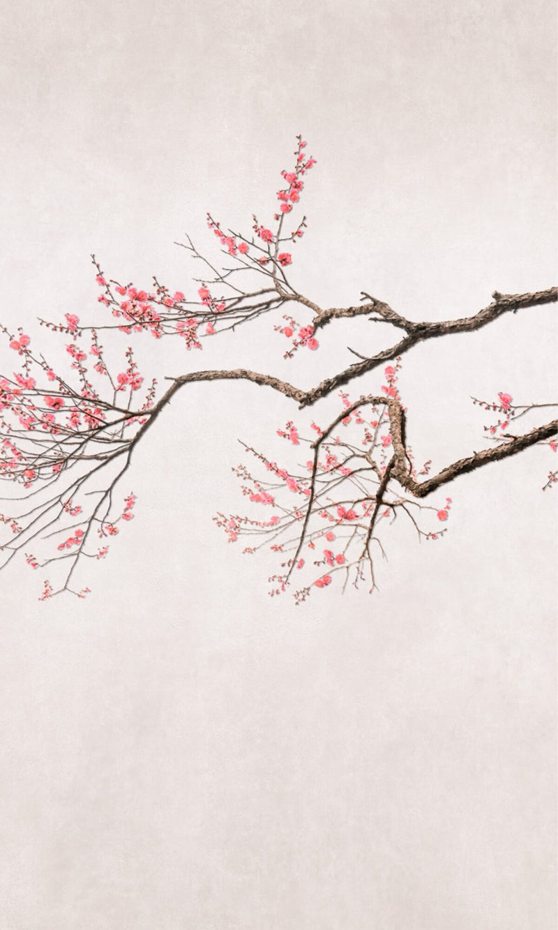 media image for Hand Painted Cherry Blossom Floral Wall Mural in Beige 210