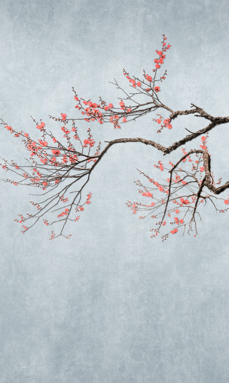 media image for Hand Painted Cherry Blossom Floral Wall Mural in Grey 233