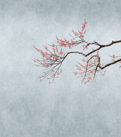 product image for Hand Painted Cherry Blossom Floral Wall Mural in Grey 26