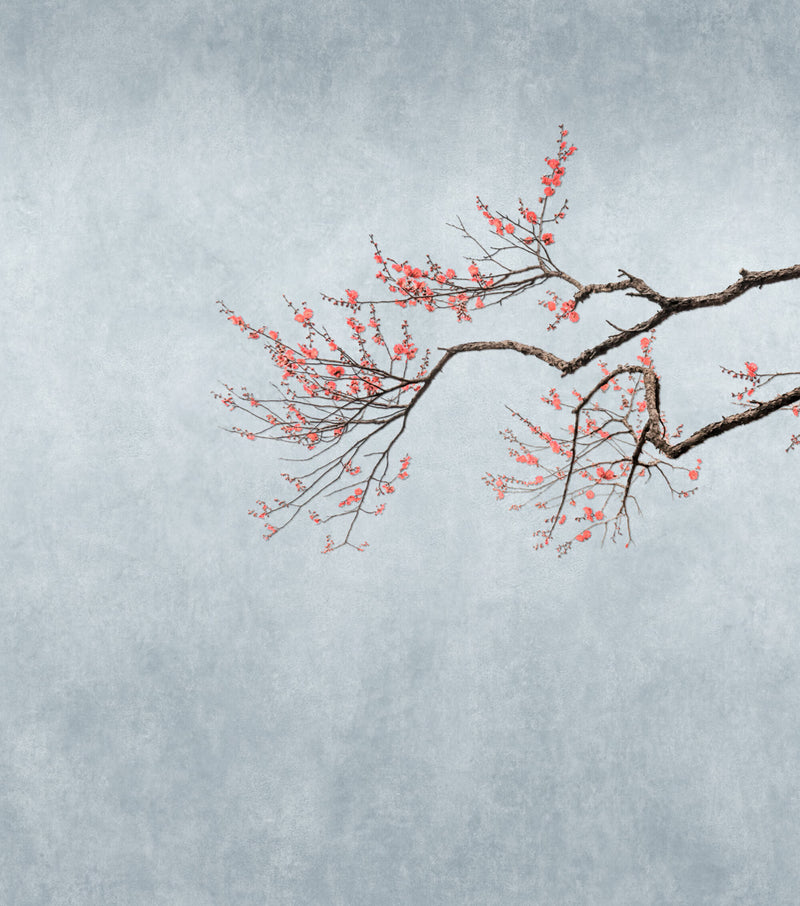 media image for Hand Painted Cherry Blossom Floral Wall Mural in Grey 214