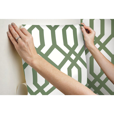 product image for Gazebo Lattice Peel & Stick Wallpaper in Green by York Wallcoverings 94
