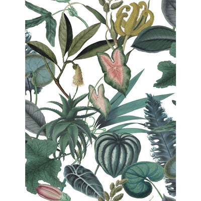 product image for Mr. Kate Tropical Peel & Stick Wallpaper in Green by RoomMates 31