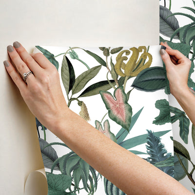 product image for Mr. Kate Tropical Peel & Stick Wallpaper in Green by RoomMates 92